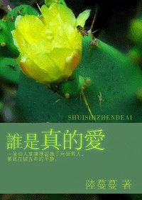 《谁是真的爱》