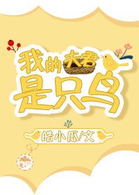 我的夫君是只鸟
