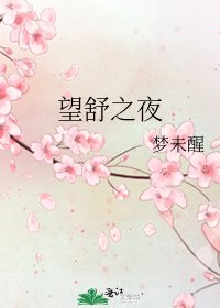 望舒之夜