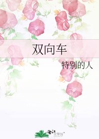 双向车