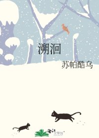 溯洄