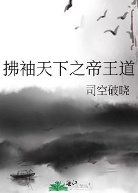 《拂袖天下之帝王道》