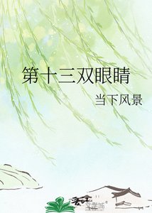 第十三双眼睛
